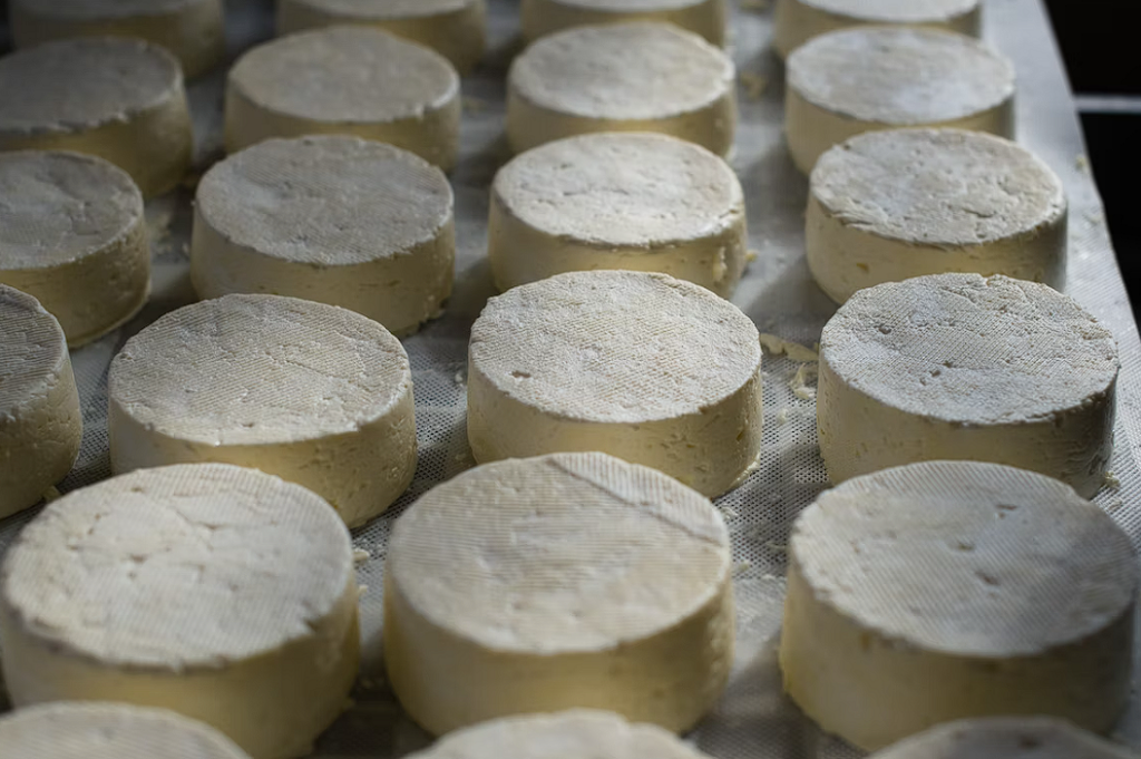 Food manufacturing display